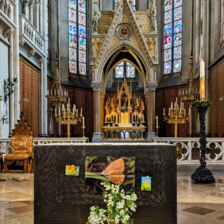 WhatsApp Image 2024-04-05 at 16.25.48